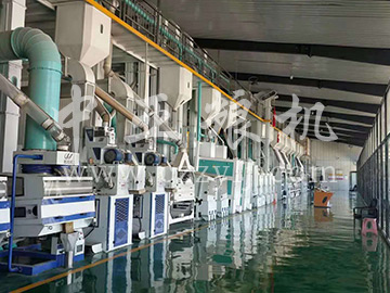 日產300噸精米生產線